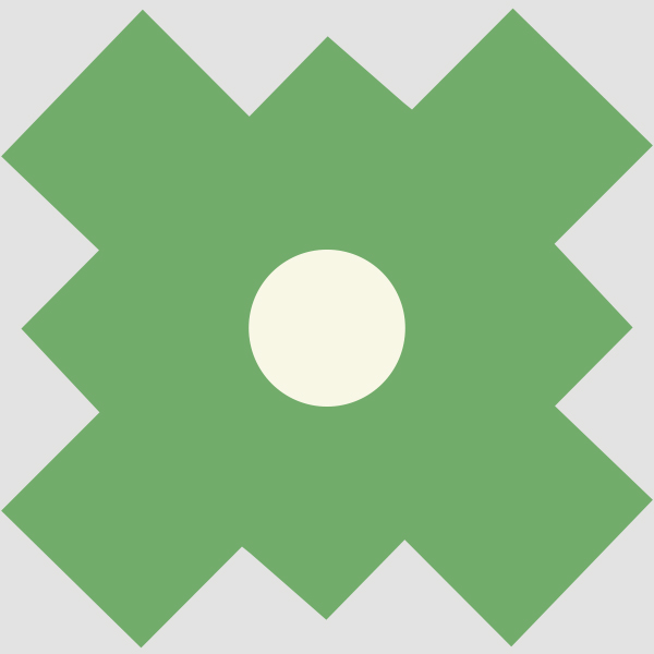 Turín
